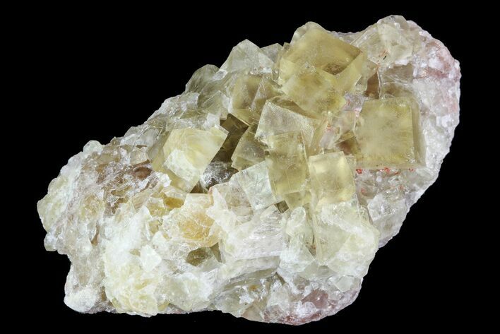 Lustrous Yellow Cubic Fluorite Crystal Cluster - Morocco #84246